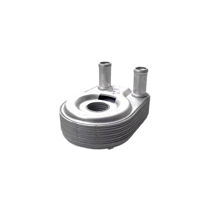 خنک کن روغن موتور هونگچی E-QM5 1 خنک کن روغن موتور هونگچی E-QM5