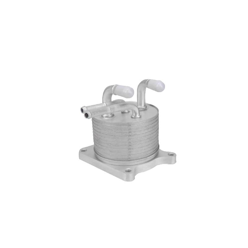 خنک کن روغن موتور بی وای دی F3 1 خنک کن روغن موتور بی وای دی F3