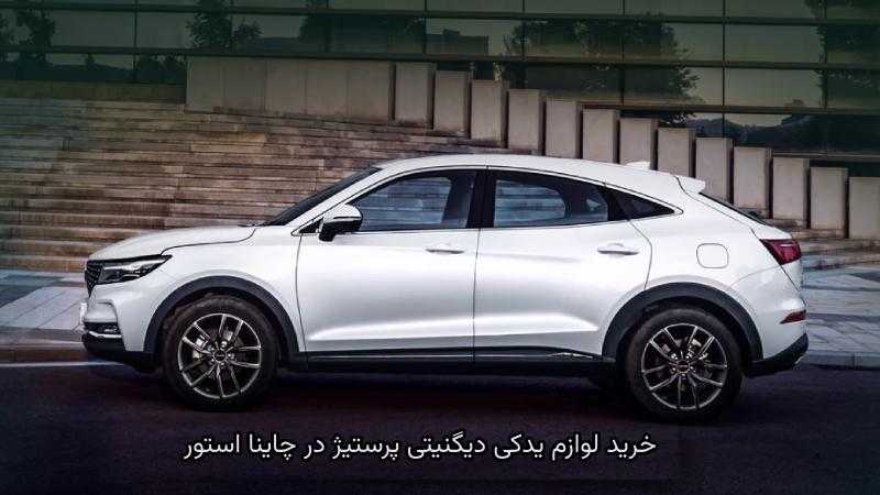 لوازم یدکی دیگنیتی پرستیژ