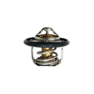 ترموستات اس دبلیو ام SWM G01