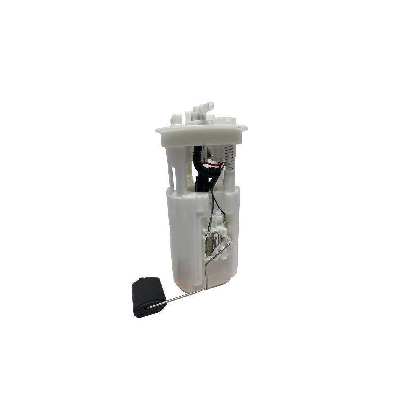 پمپ بنزین اس دبلیو ام SWM G01 1 پمپ بنزین اس دبلیو ام SWM G01
