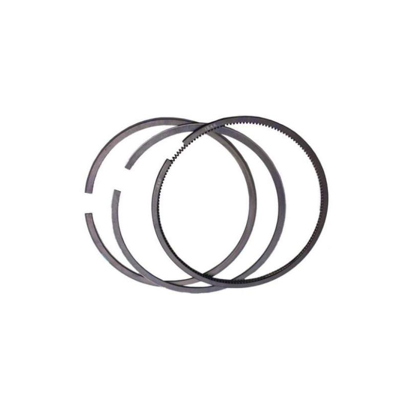 رینگ پیستون اس دبلیو ام SWM G01F 1 رینگ پیستون اس دبلیو ام SWM G01F