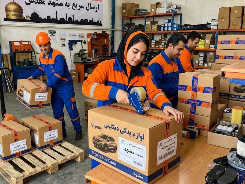 لوازم یدکی دیگنیتی در مشهد 2 قطعات یدکی دیگنیتی در مشهد